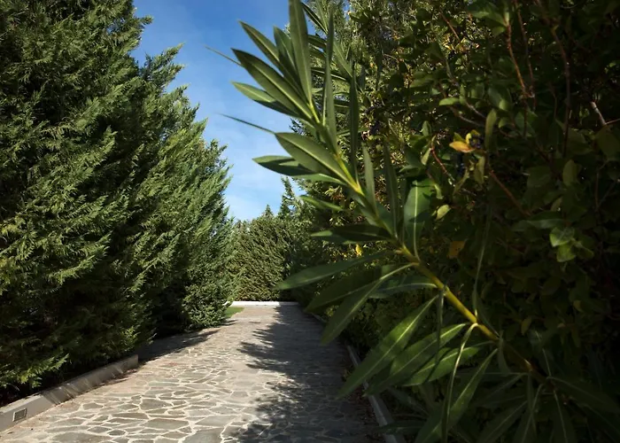 Melissaki נאפפליו